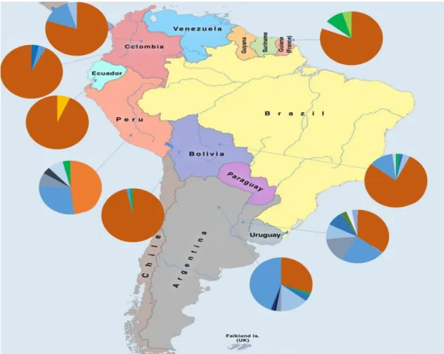 Figure 7- Relative frequency of haplogroups from Native Americans of several South American countries