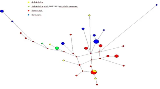 Figure 9- Network with the Q-SA05 Asháninka samples and Q-SA05 individuals from Jota MS et al (2016) 