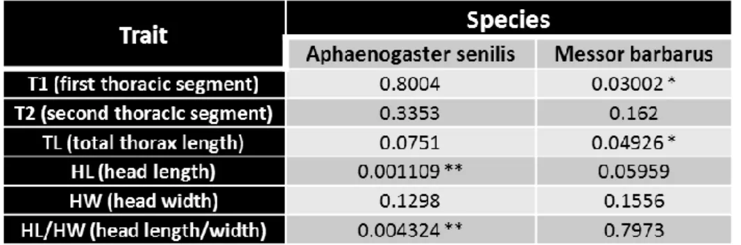 Table S2 – Levene’s test results for intra-caste comparisons for A. senilis and M. barbarus,  only workers used