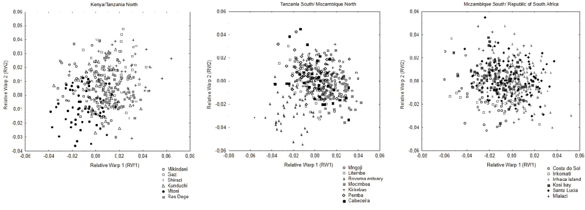 Figure  6  –  Scatterplots  of  individual  scores  from  the  relative  warp  analysis  (RW1xRW2),  comparing  populations  within  the  main  geographical  regions  of  the  latitudinal  gradient  in  study  (Mozambique centre not included once it is rep
