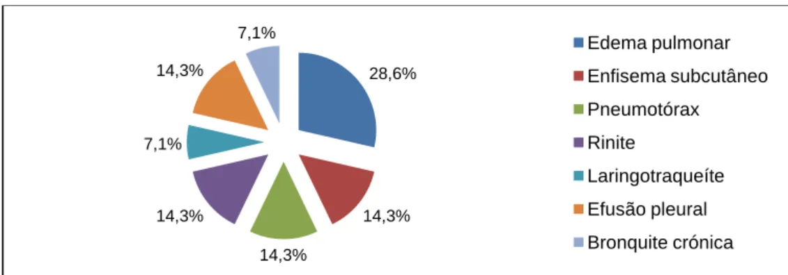 Gráfico  3  -  Representação  esquemática  da  distribuição  relativa  (%)  da  casuística  assistida  em  pneumologia, em função da entidade clínica diagnosticada (n=14)