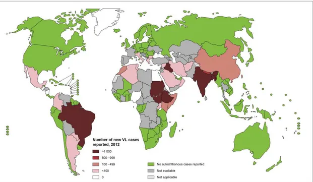 Figura 1: Distribuição geográfica da Leishmaniose visceral no mundo (Fonte: WHO, 2013)