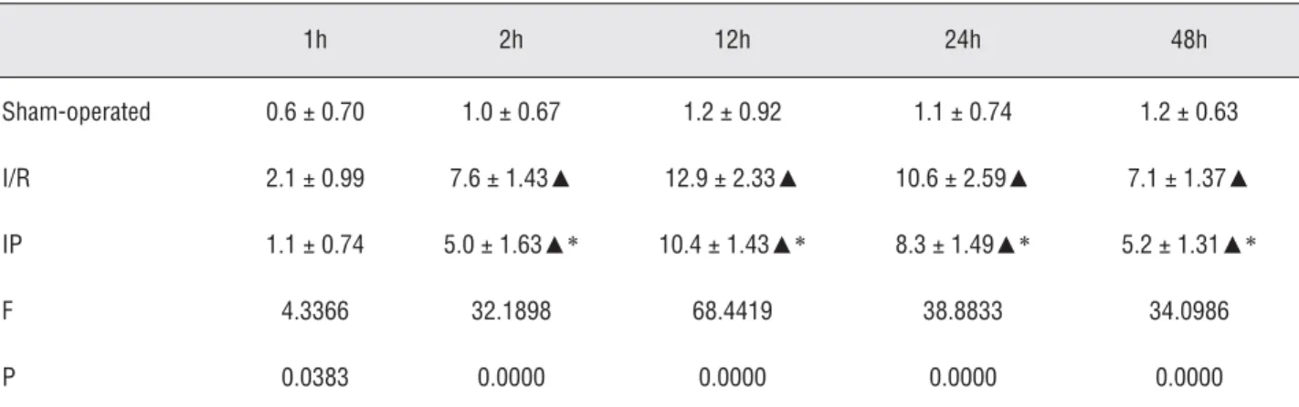 Table 1 - Effects of ischemic preconditioning on the expression of ICAM-1 in rat kidney (positive cell number/HP).