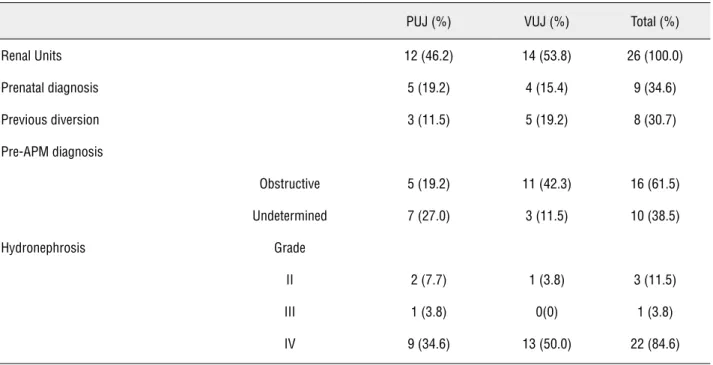 Figure 1 - Measurement of the Antegrade Pressure of the  Upper Urinary Tract.