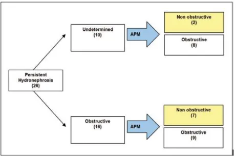 Figure 2 - Flowchart of cases and test results.
