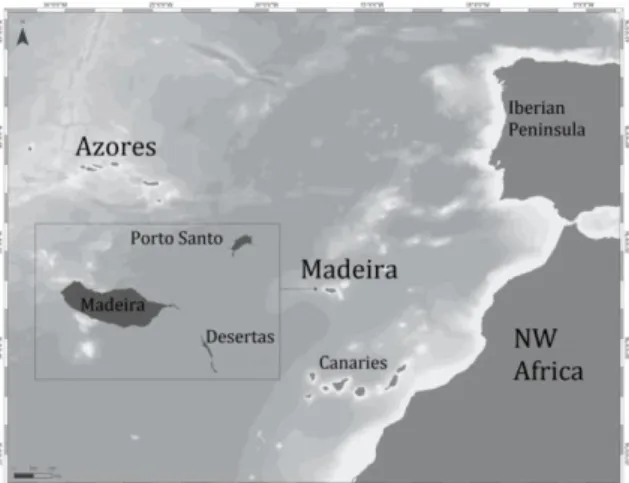Fig.  1 .  Map  of  the  Madeira  archipelago  in  the  NE  Atlantic 