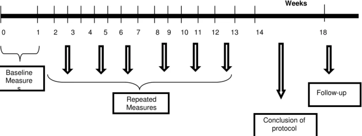 Figure 1. Display of Study Diagram 