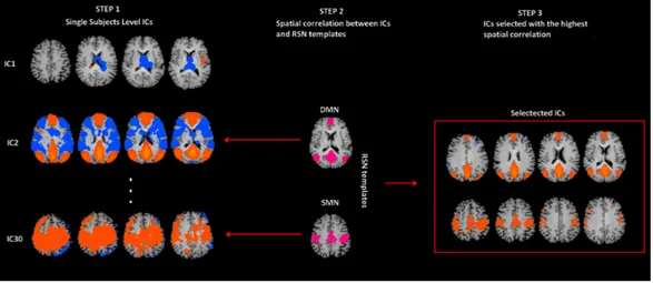 Figure 1 rs-fMRI processing. Selection of two Resting State Networks among the independent compo- compo-nents (ICs) were obtained by means of the Fast-ICA algorithm implemented in Brain Voyager QX