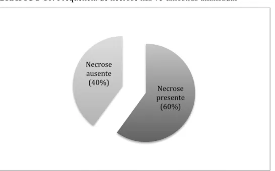 GRÁFICO 10: Frequência de necrose nas 75 amostras analisadas 