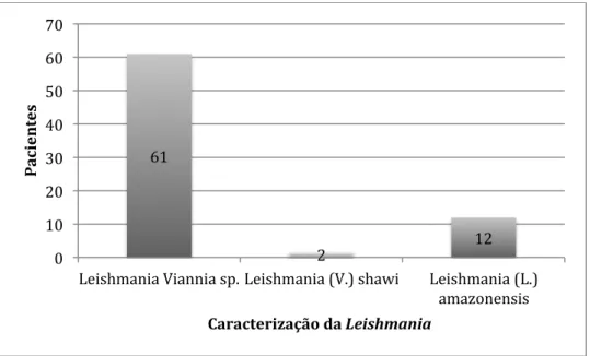 GRÁFICO  11:  Distribuição  do  subgênero  Viannia  e  das  espécies  Leishmania  (V.)  shawi  e  Leishmania (L.) amazonensis 