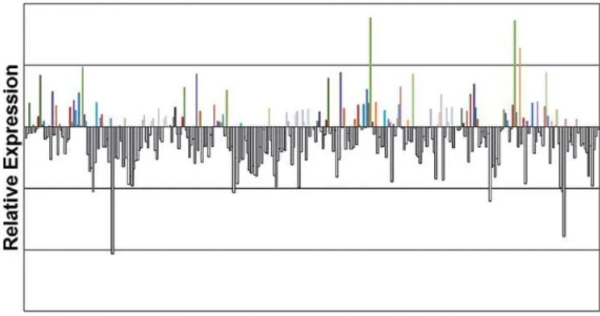 Figure 1 - Expression levels of the four genes in PCa tissue compared to BPH. Fold change  in expression was calculated using the 2- ∆∆ CT  method.