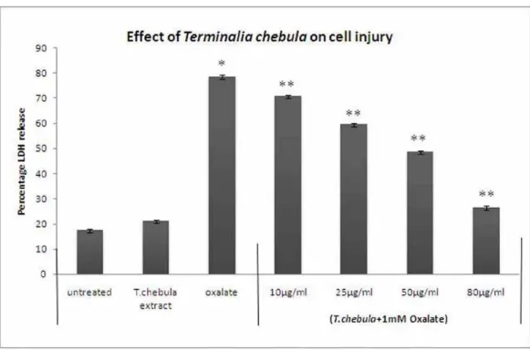 Figure 5 – Effect of Terminalia chebula on the % LDH release of MDCK. Data are mean ± S.D