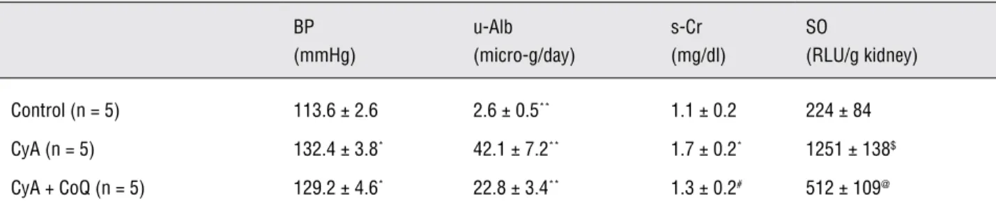 Table 1 - Changes of systolic blood pressure (BP), daily urinary albumin excretion (u-Alb), serum creatinine (s-Cr) level,  super-oxide anion (SO) level in the kidney.