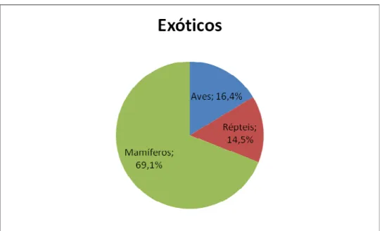 Gráfico 3 – Frequência relativa de casos clínicos de cada classe de espécies exóticas.