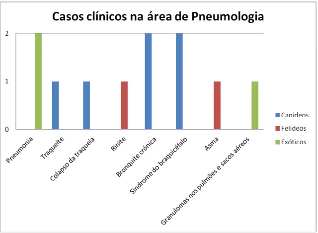 Gráfico  13  -  Frequência absoluta de casos clínicos na área clínica de Pneumologia em cada grupo de  espécies