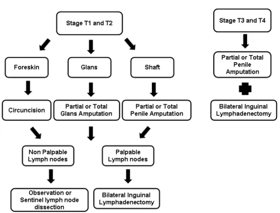 Figure 3 - An algorithm showing our treatment for patients with melanoma of penis.