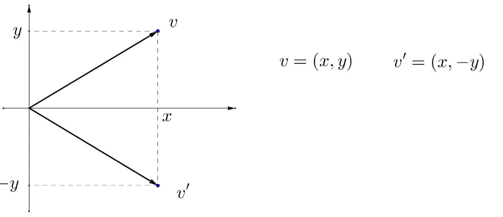 Figura 2.7: Reflexão do vetor v em torno do eixo dos x