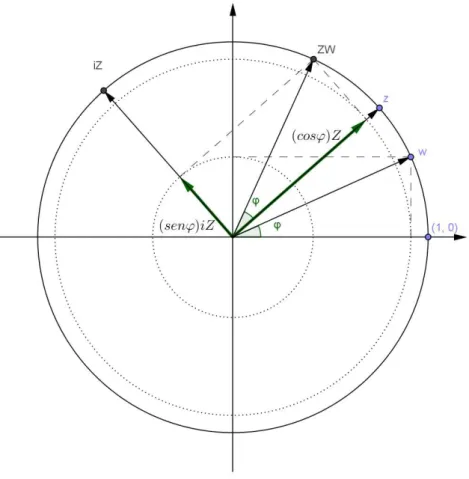Figura 18: Representação geométrica da multiplicação de números complexos unitários 