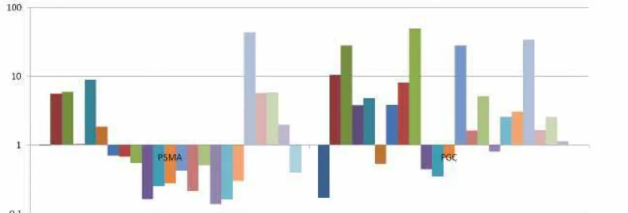 Figure 1. Quantitative expression of PSMA and PGC in tissue samples from patients with positive TRUS guided prostate biopsy.