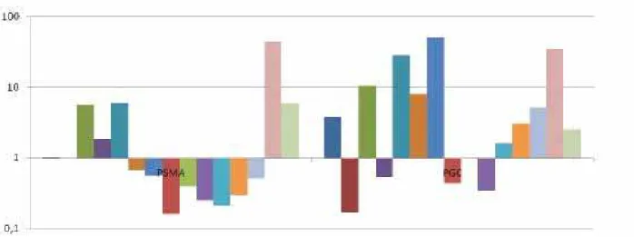 Figure 3. Quantitative expression of PSMA and PGC in prostatic tissue from patients with low risk PCa.