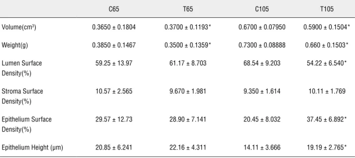 Table 1 - The table shows the numerical values with mean and standard deviation (SD) of the structures studied in the rat  prostate ventral lobe treated with anabolic androgenic steroids