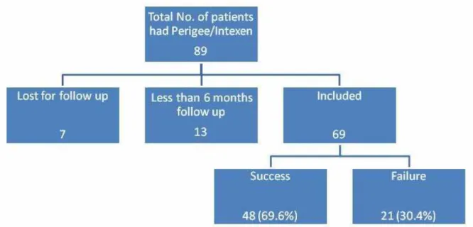 Figure 1 - Flow chart delineates the number of patients recruited.