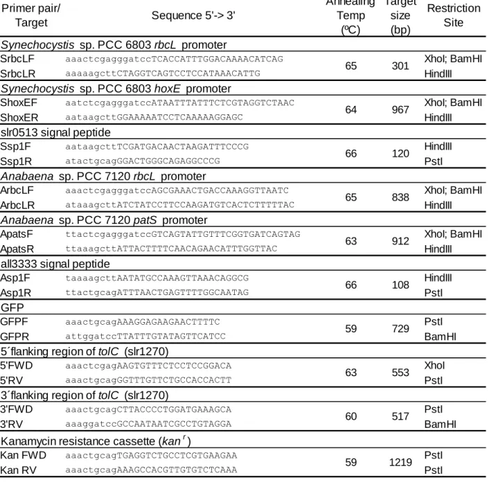 Table 1- Oligonucleotides used in this work.  