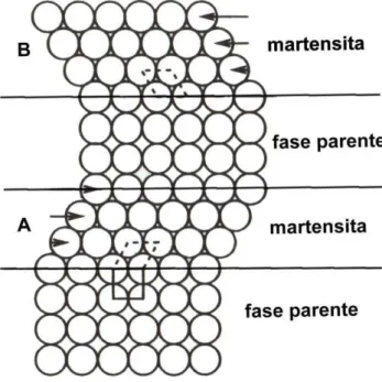FIGURA 2 - Modelo simplificado da transformação martensítica   FONTE: Otsuka; Wayman, 1998