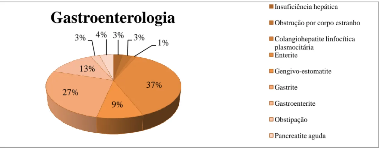 Gráfico nº 23 - Frequência relativa de casos (%) por patologia da área clínica de   gastroenterologia (n=75)