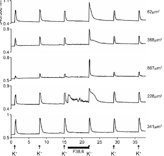 Figure 5. Responses of five different cells to native AtVIA (subfraction 38.6). Shown are the responses  of five dorsal root ganglion (DRG) neurons (see Methods); the size of each cell is indicated