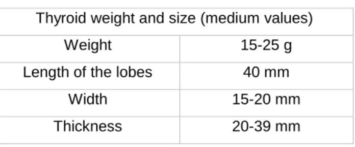 Table 1 – Medium values of thyroid weight and size in adults [2]. 