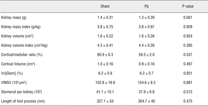 Table 1 - Stereological data of kidneys from rats of groups Sham (n = 7) and Pneumoperitoneum (Pp) (n = 7)