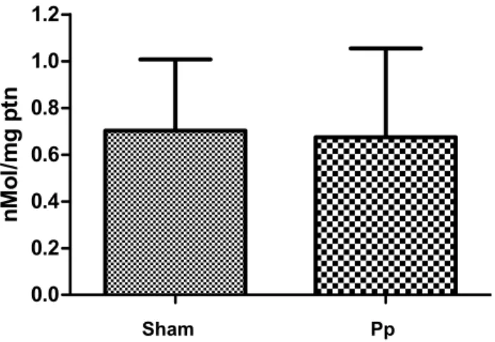 Figure 2 - Malondialdehyde concentration in renal tissue of  rats submitted to 8 mmHg pneumoperitoneum for 3 hours