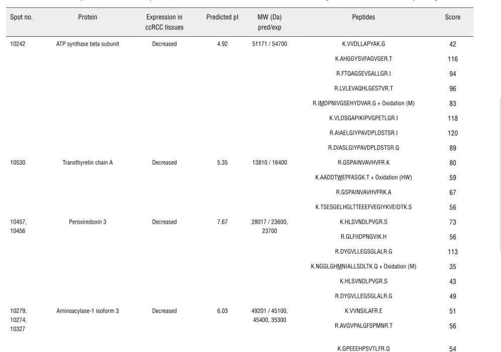 Table 2 - Identification of proteins with altered expression levels in RCC tissues. Proteins were identified using MALDI/TOF-TOF de novo sequencing.