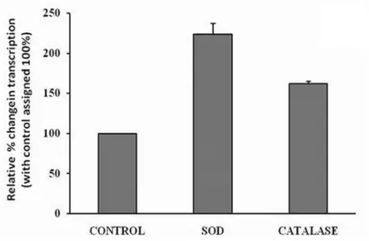 Figure 2 - Densitometry scanning of antioxidant enzymes following RT PCR program using scion image software in different  groups