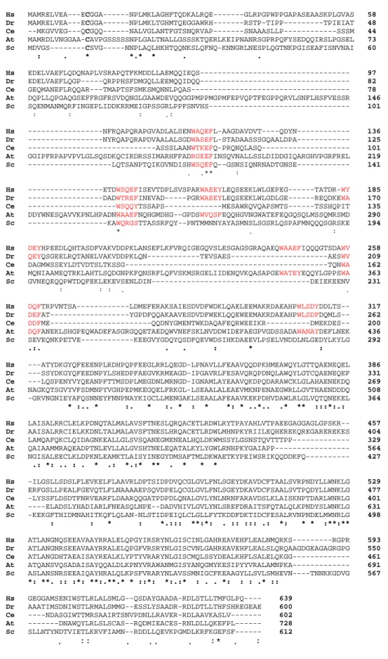 Figure 3: Sequence alignment of PEX5 proteins (ClustalW2, www.ebi.ac.uk). The long isoform of  human (Hs) PEX5 is aligned with homolog proteins from Danio rerio  (Dr),  Caenorhabditis  elegans  (Ce),  Arabidopsis thaliana (At) and Saccharomyces cerevisae (