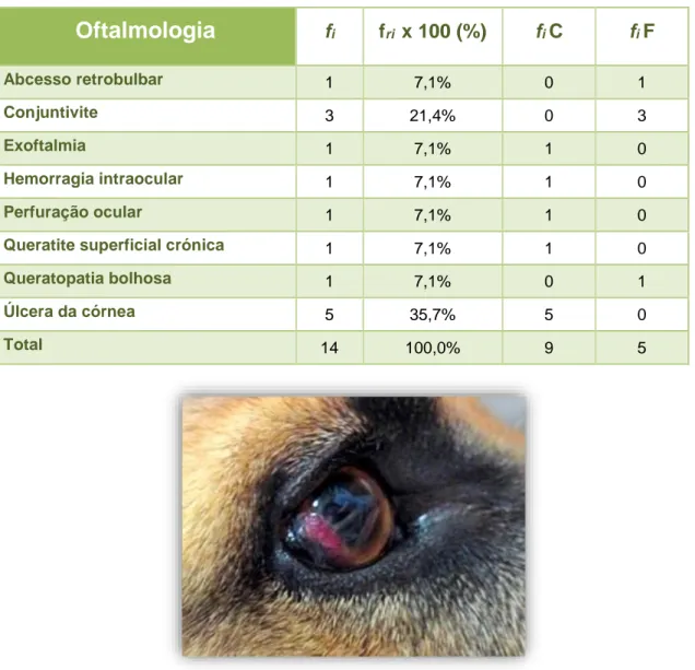 Tabela 13 - Tabela de distribuição dos casos acompanhados referentes à área de oftalmologia no HVM; 