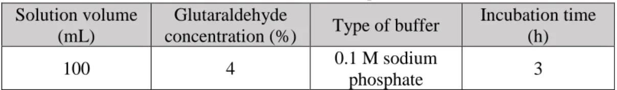 Table 3  –  Enzyme Immobilization parameter values. 