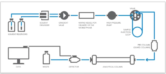 Fig 3 – Visual representation of all steps during an HPLC analysis[30] 