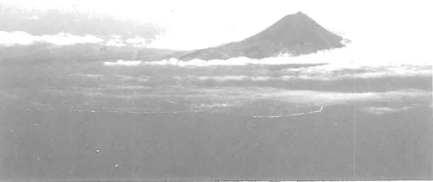Fig.  2.  Pico from air showing characteristic cloud formation around mid flanks and exposed upper cone