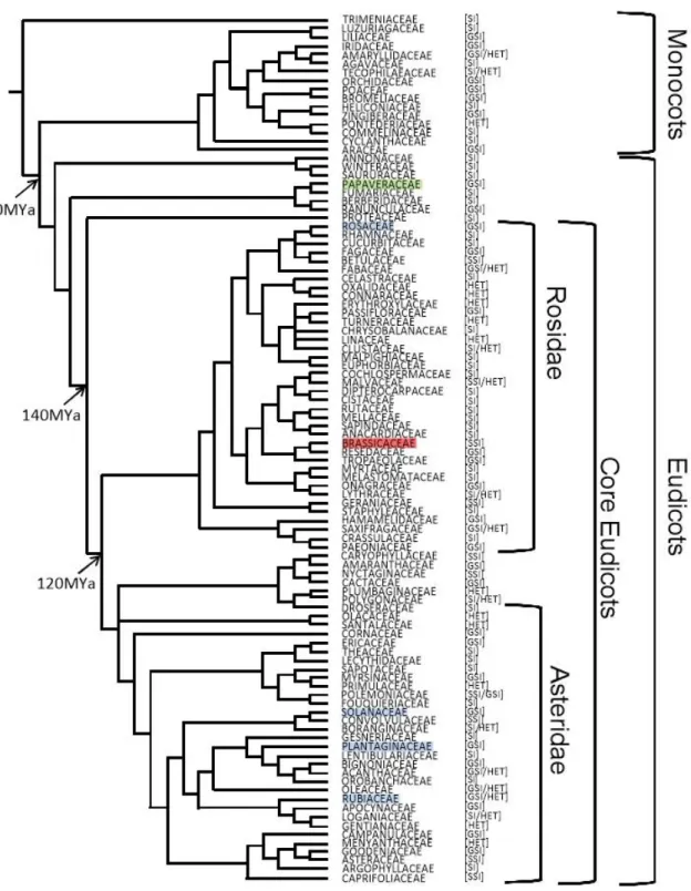 Figure 1-1: Representation of the self-incompatibility systems in 100 angiosperm families