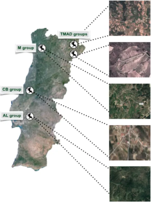 Figure 1 – Locations in Portugal where samples were obtained   2.2. Study sample  