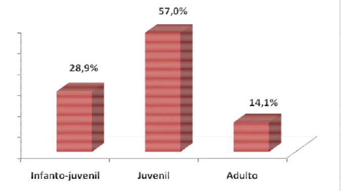 GRÁFICO 2 – Distribuição dos atletas por categoria. 