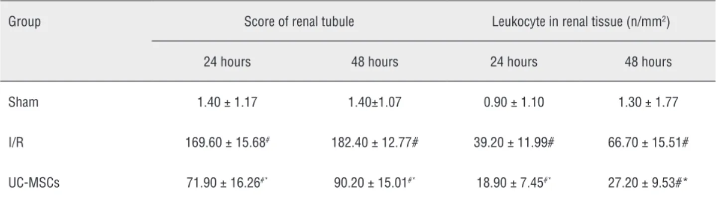 Table 1 - Renal tubule scoring and renal tissue leukocyte counting in different groups.