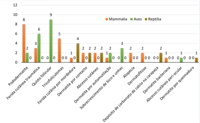 Gráfico  3  -  Distribuição  absoluta  das  classes  animais  pelos  sinais  clínicos/  doenças  da  especialidade de dermatologia (ɳ=61, sendo ɳ o nº total de casos assistidos)