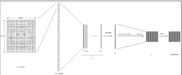 Figure 16 Eigen face method process (Dinalankara 2017) 