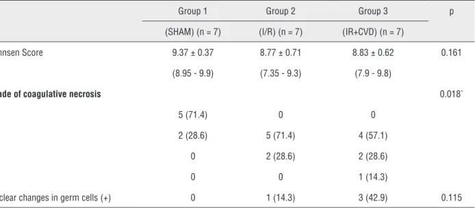 Table 4 - Johnsen scores and other histologic features in the testicular tissues of rats.