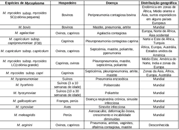 Tabela 1. Espécies de Mycoplasma com importância veterinária, doenças que provocam e  distribuição geográfica (Adaptado de Quinn et al., 2005)