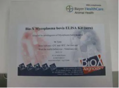 Figura 2. Bio-X Mycoplasma bovis Elisa Kit: Bio K 260. 