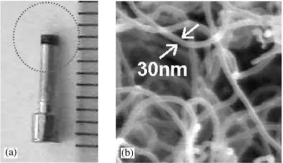 Figura 1.7: a) Foto de um emissor convencional – é o componente do canhão de elétrons responsável  pela emissão de elétrons; b) imagem de microscopia eletrônica de varredura de alta resolução de  nanotubos de carbono crescidos sobre o catodo